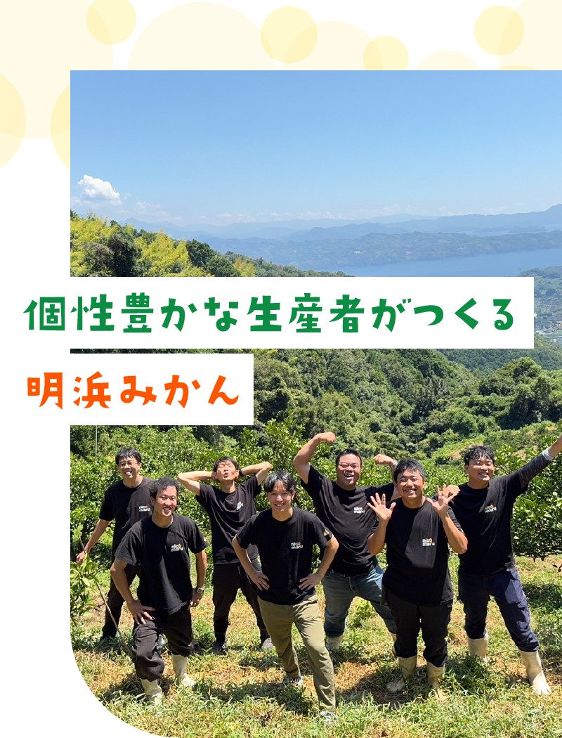 個性豊かな生産者がつくる明浜みかん
