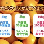 apparemikan　zoutouyou(copy)