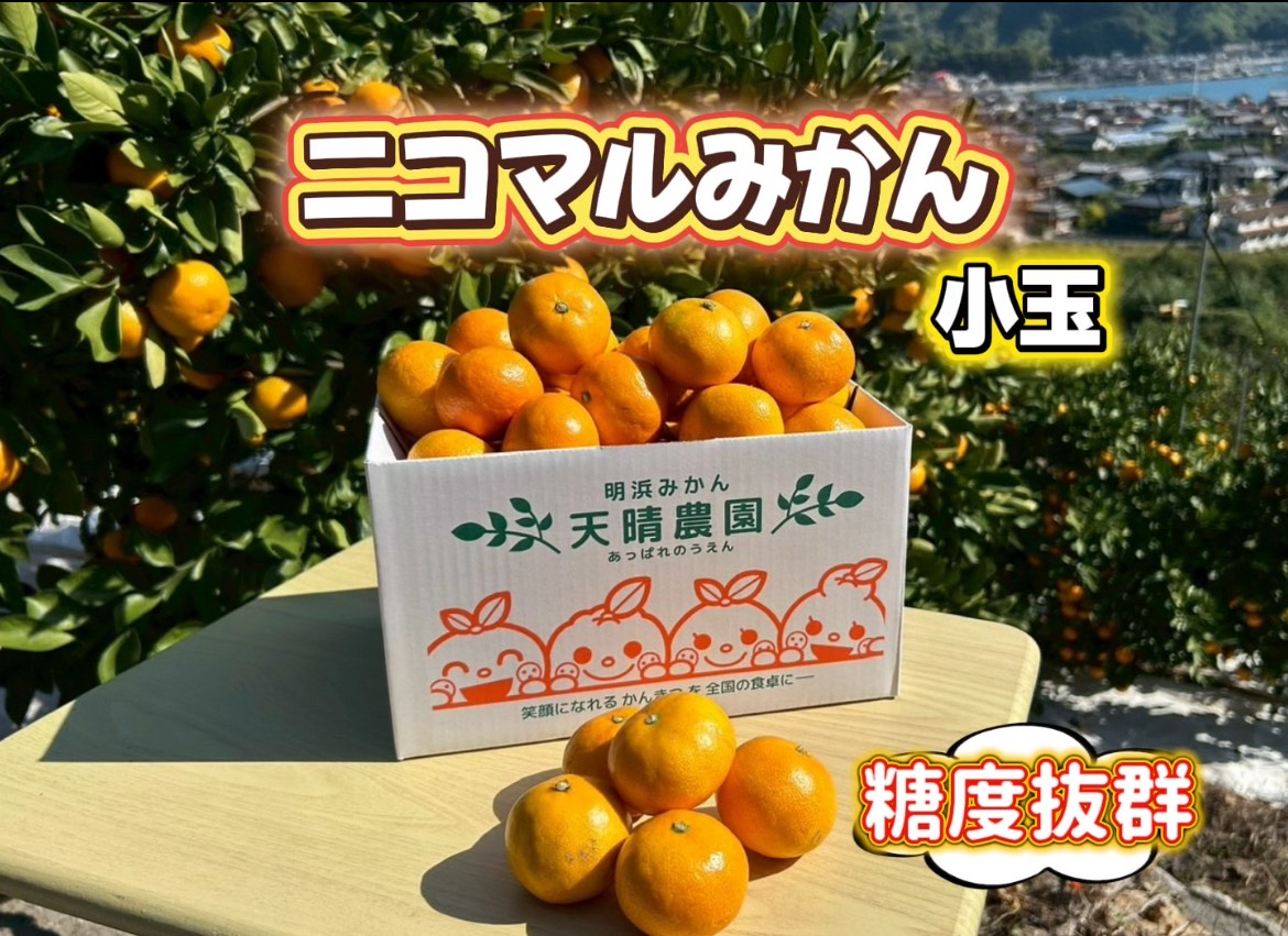 apparemikan　zoutouyou(copy)