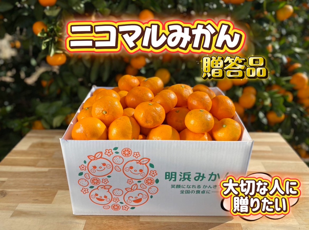 apparemikan　zoutouyou