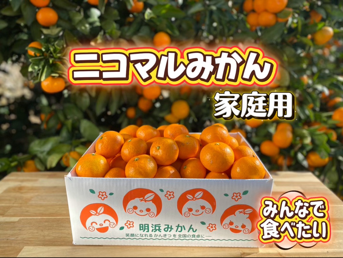 apparemikan　gokateiyou