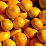 apparemikan　gokateiyou