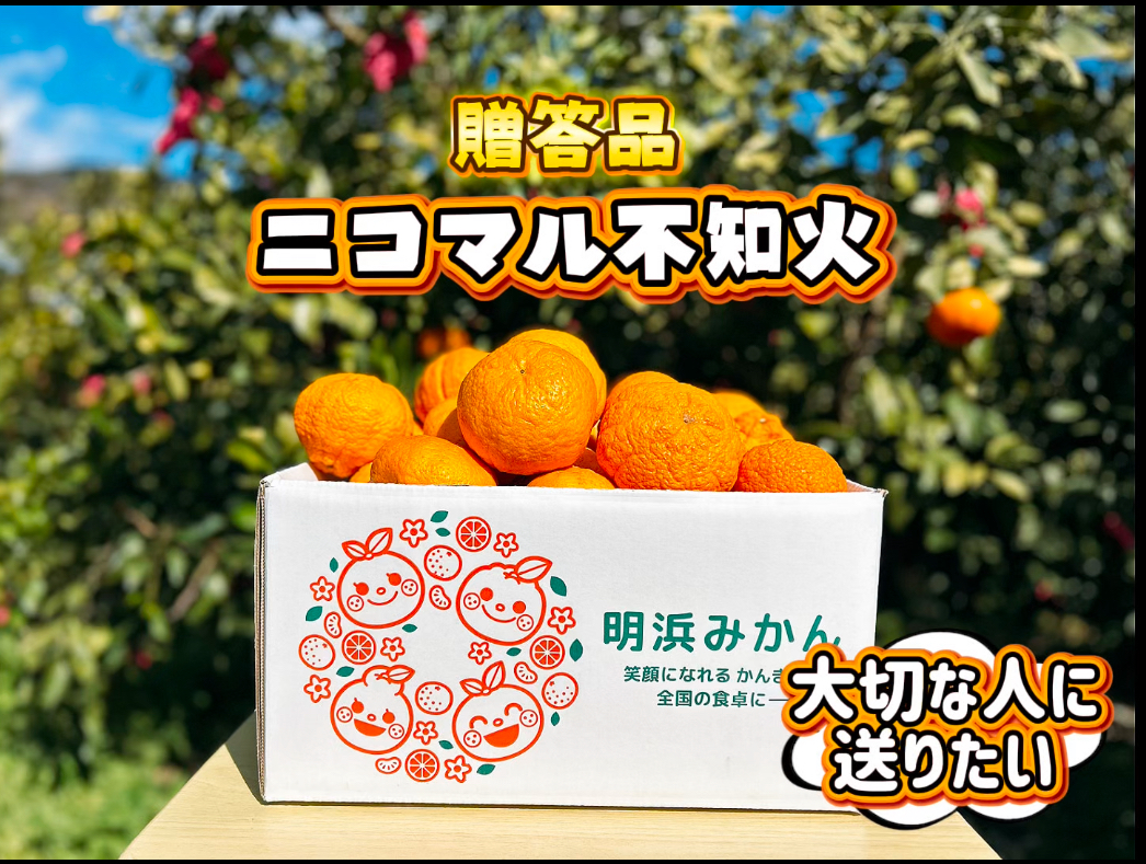 nicomalmikan　siranui