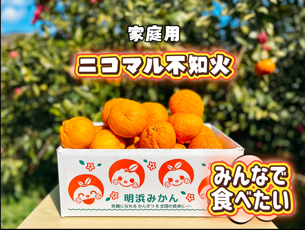 nicomalmikan　siranui　katei