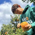 nicomalmikan　siranui　katei